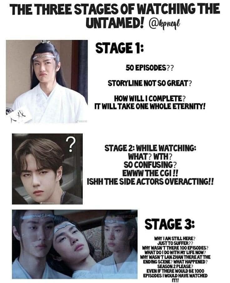 Stages of watching The Untamed
