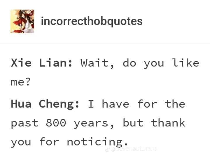 Wait, do you even like me? Thanks for noticing.